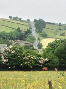 Well you have to work the pies and custard off somehow.