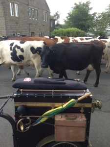 Rush Hour in Scholes.